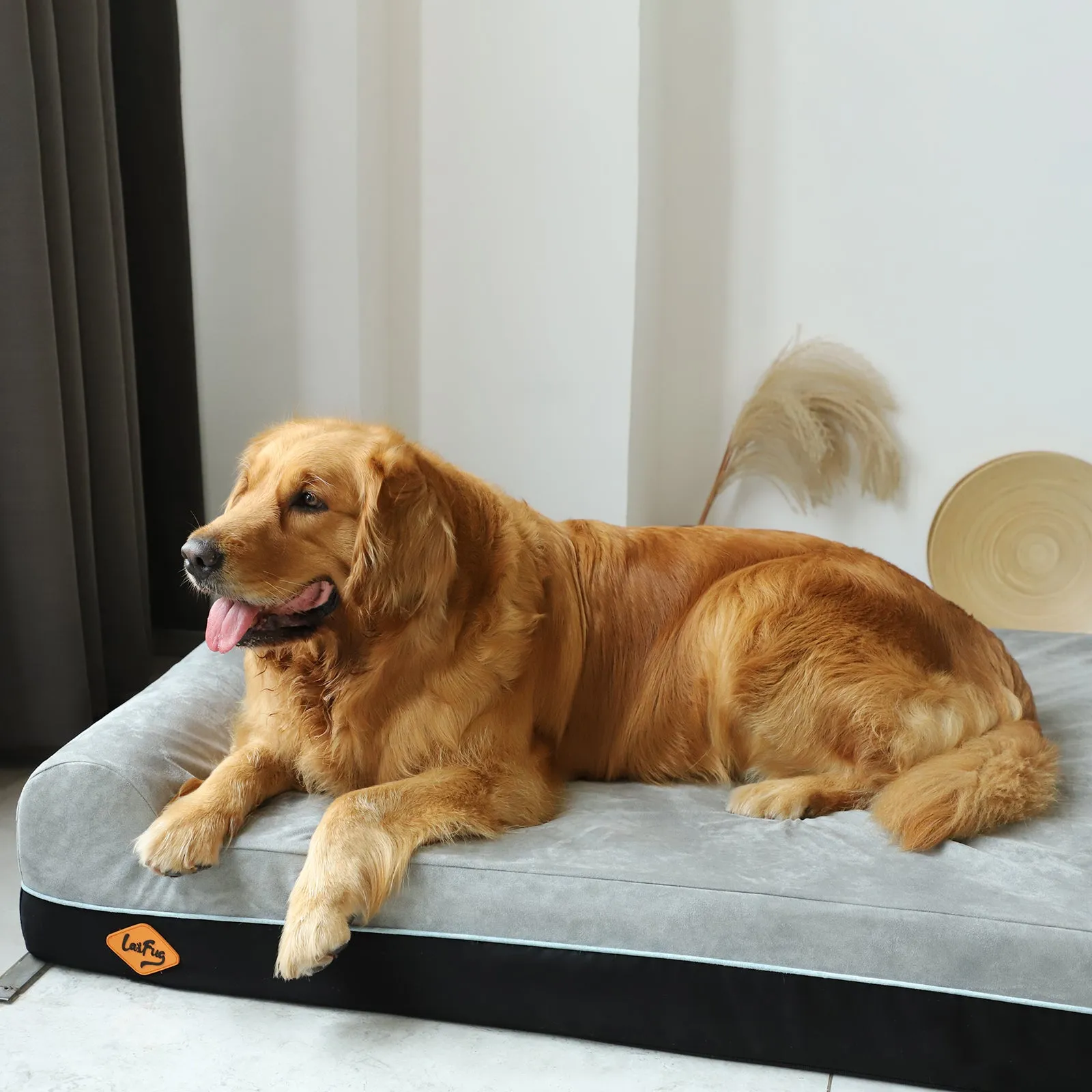 Extra-Large Double Pillow Orthopedic Dog Bed